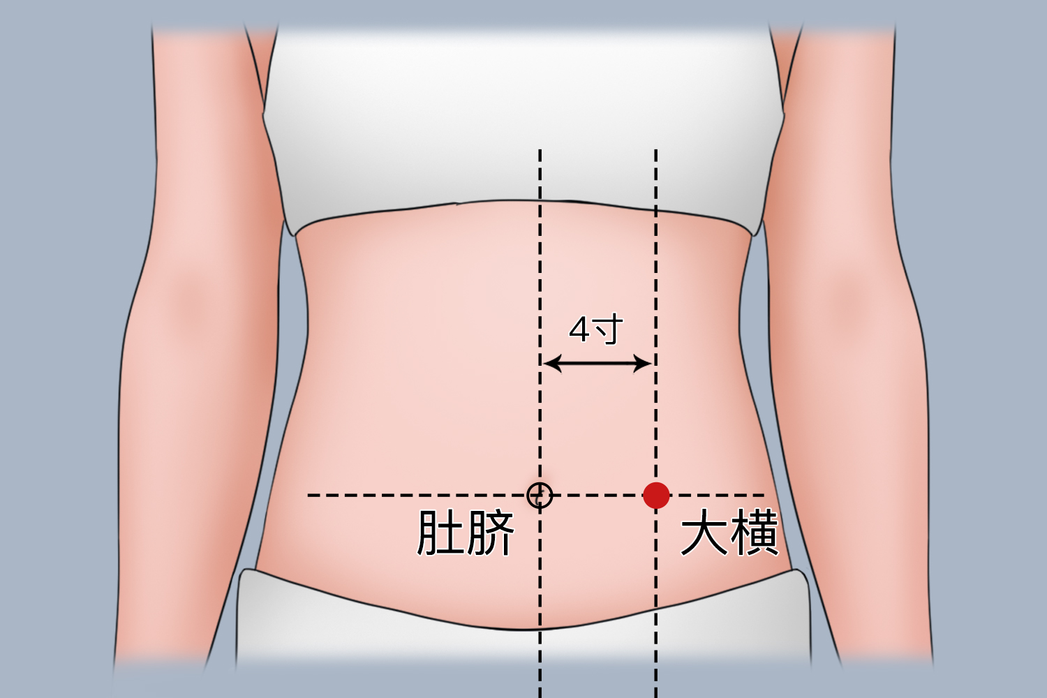 大横的准确位置图和作用