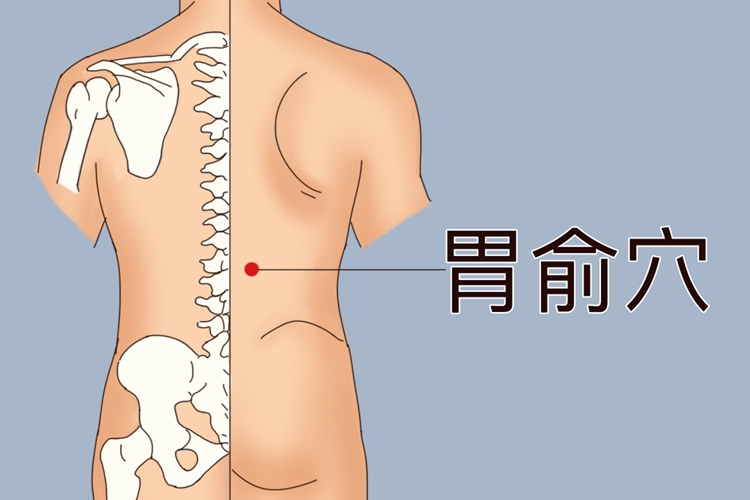 胃俞准确位置图