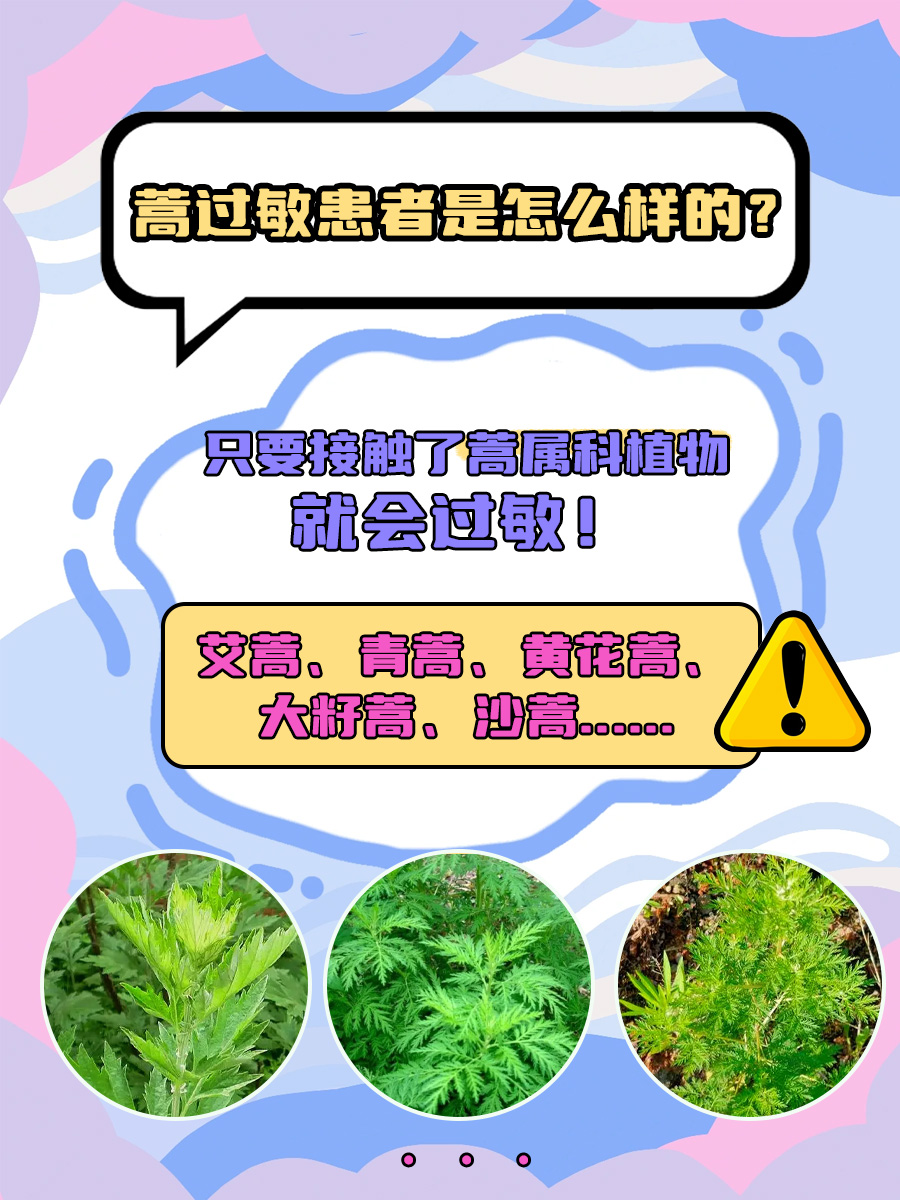 蒿过敏是什么？一篇文章带你了解清楚！