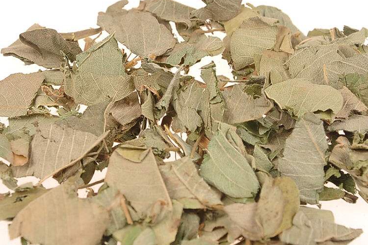 大金钱草药材图