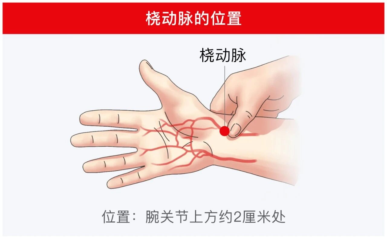 微信图片_2026-06-15_101047_833.jpg