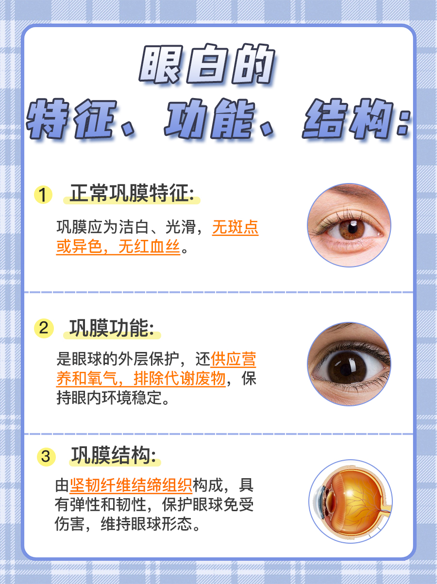 正常人的眼白图片
