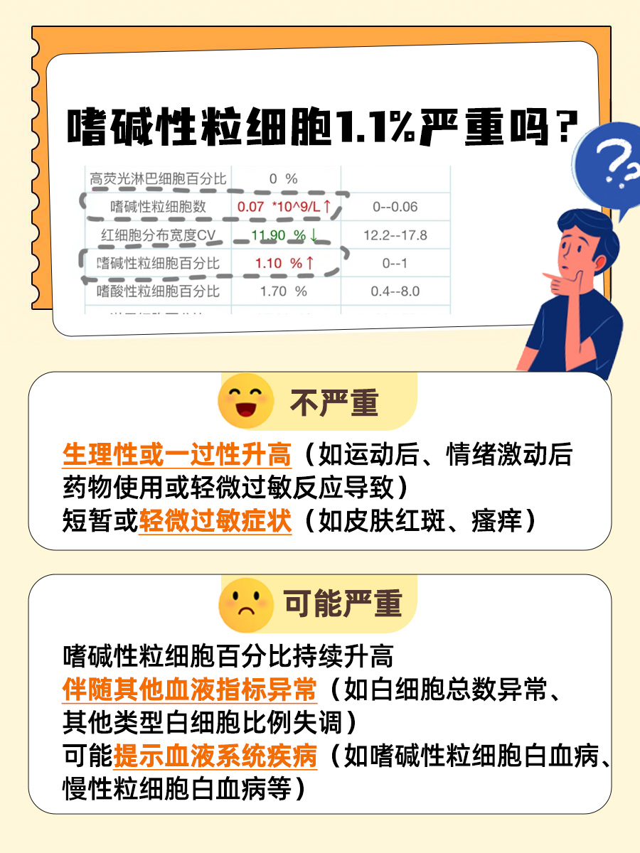 一文解析:嗜碱性粒细胞1.1%严重吗?