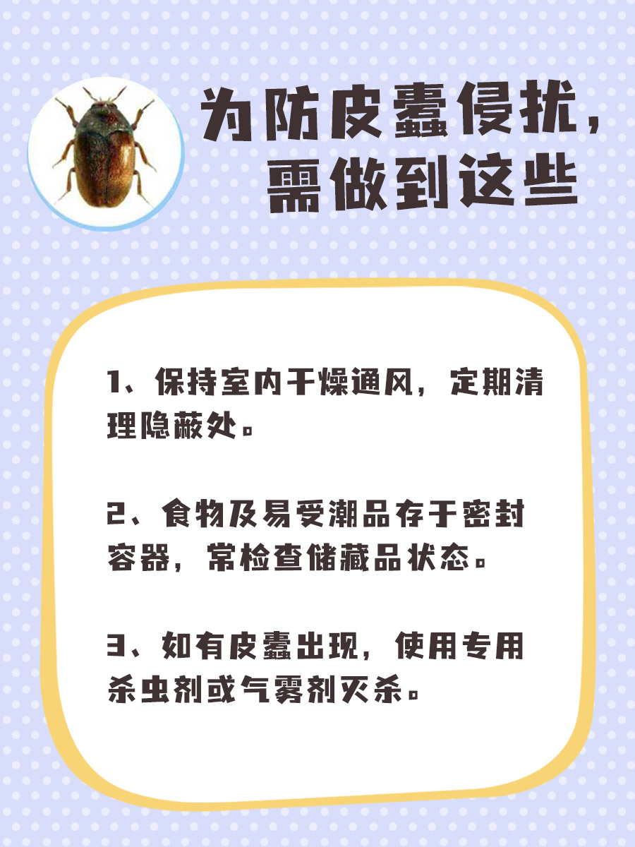 皮蠹会“钻”进身体?了解真相!