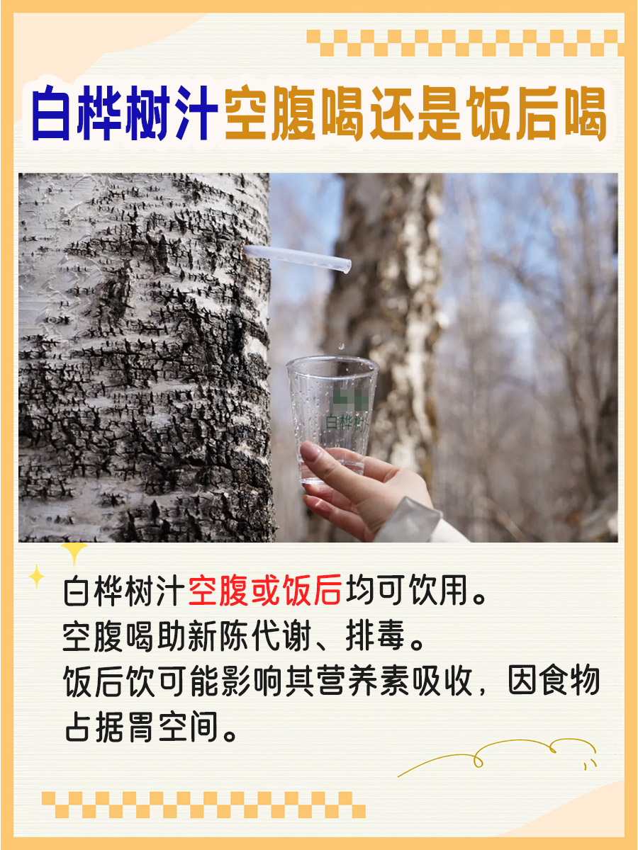 白桦树汁，空腹or饭后？喝法有讲究！