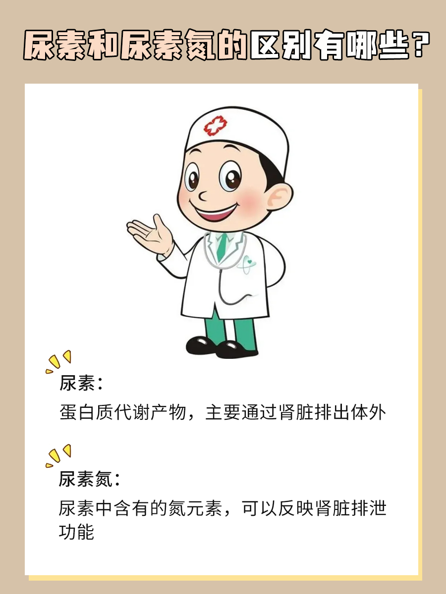 尿素VS尿素氮：傻傻分不清？一文解析！