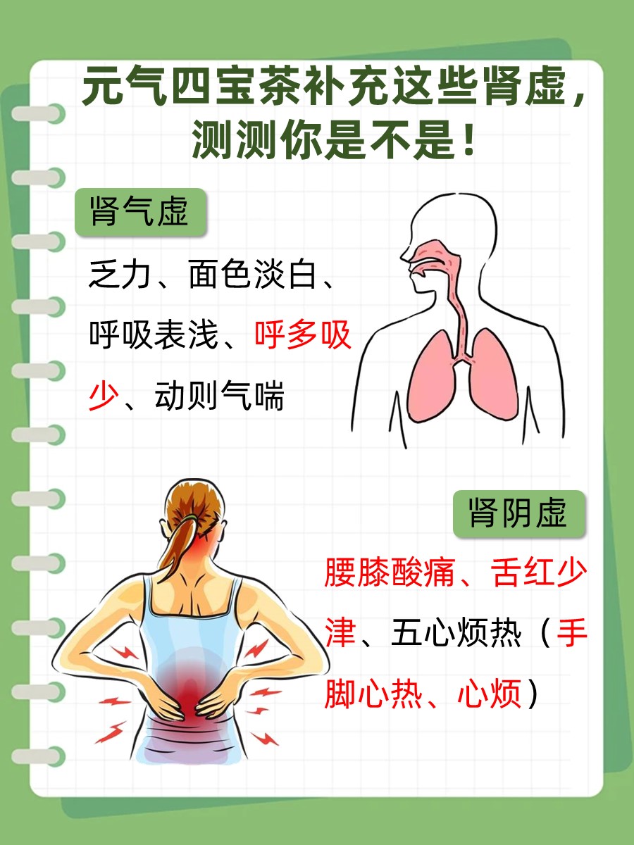元气四宝茶：解锁补肾新秘籍！