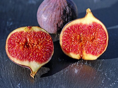 figs-1620590__340_副本.jpg