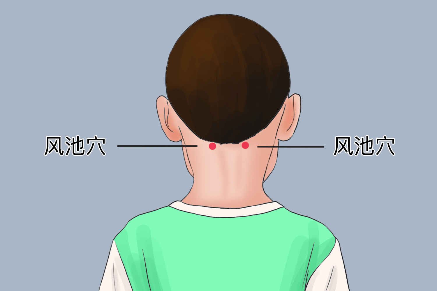 风池穴位置图