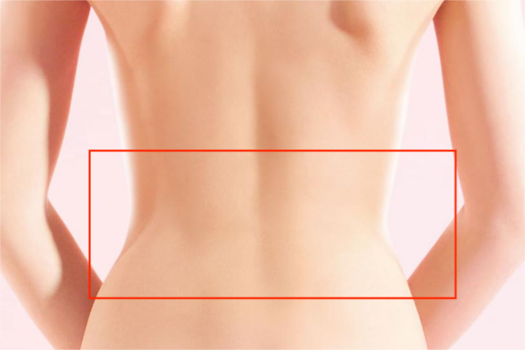腰部位置图
