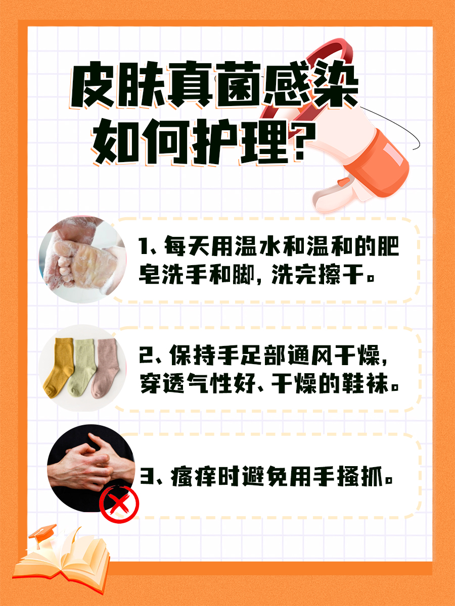 揭秘真菌菌丝：它究竟是什么物质？