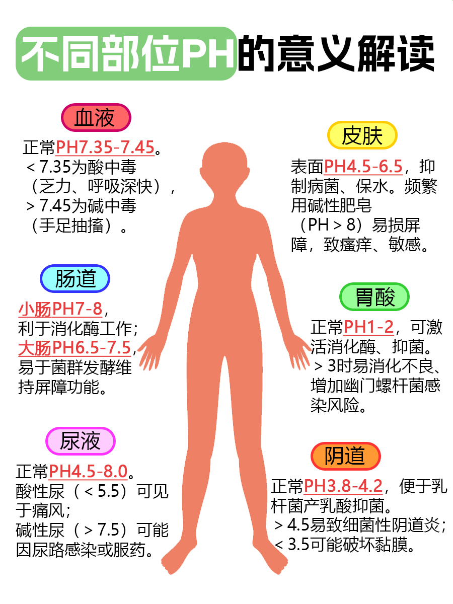 PH值是什么意思？带你看懂背后的健康密码