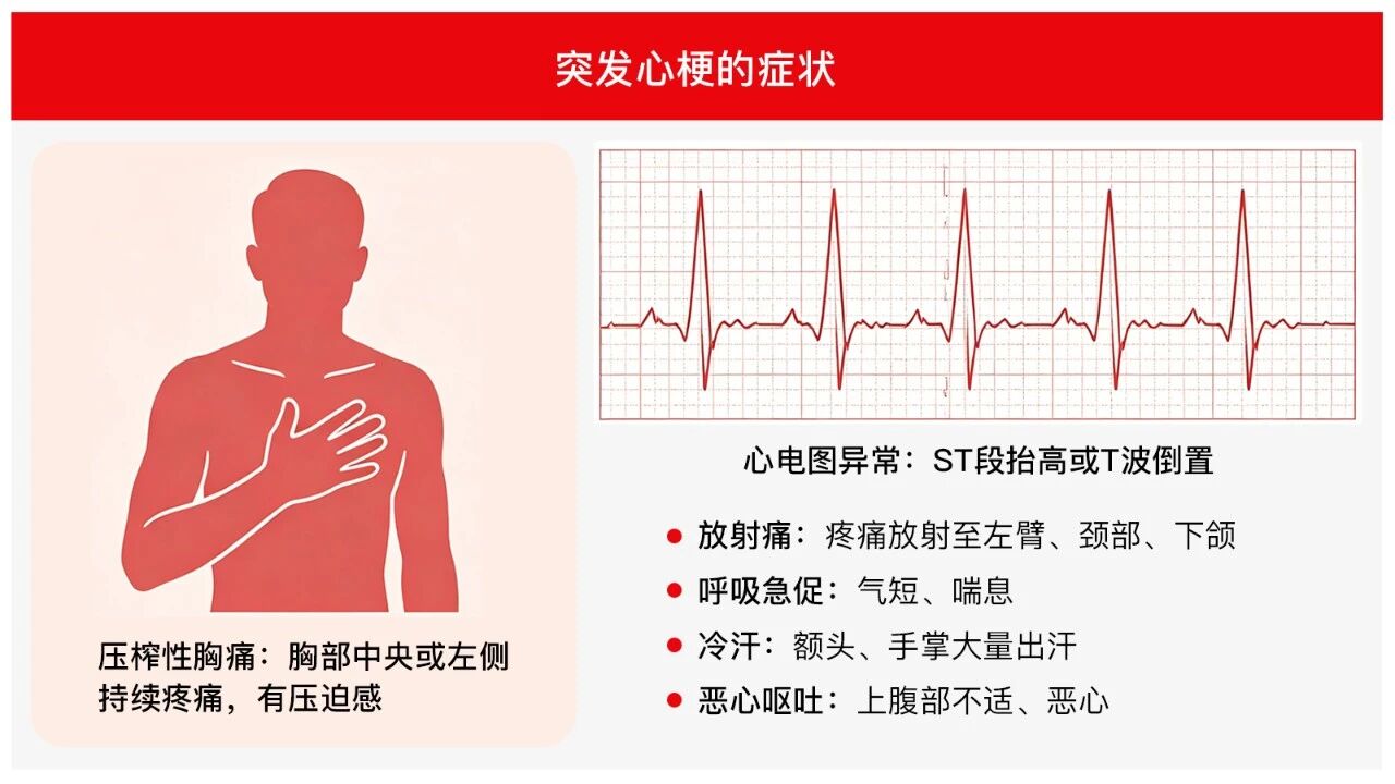 微信图片_2026-04-15_094533_555.jpg