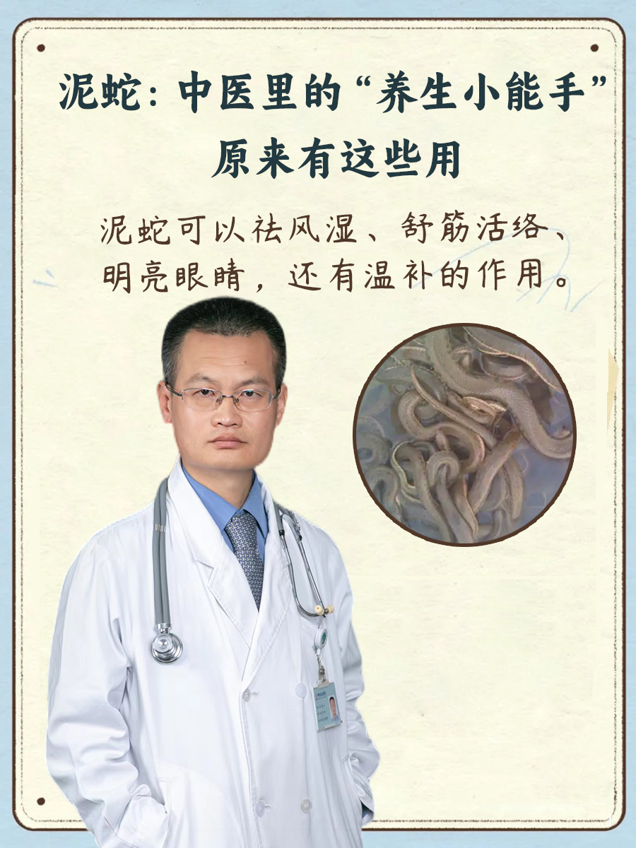 泥蛇：中医里的“养生小能手”，原来有这些用