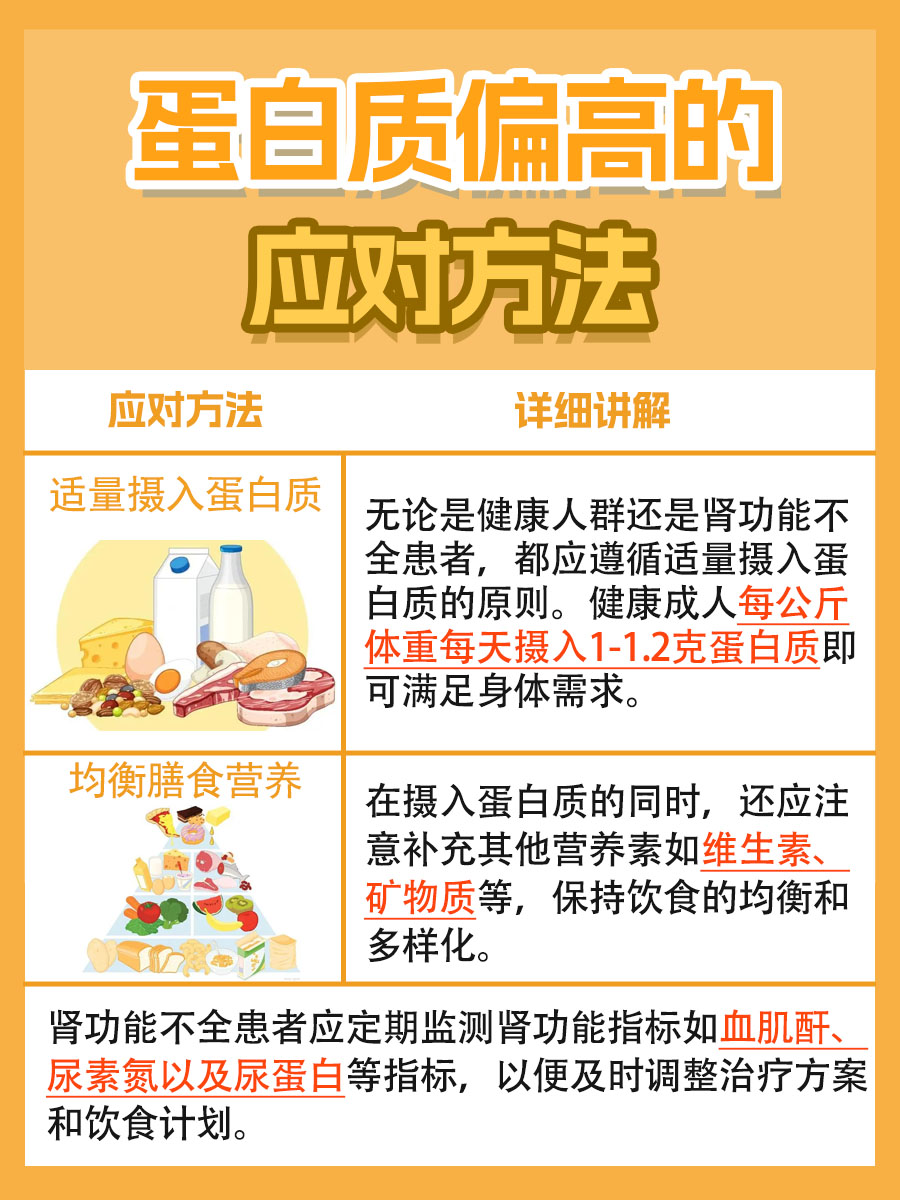 蛋白质高对肾脏的影响：你必须知道