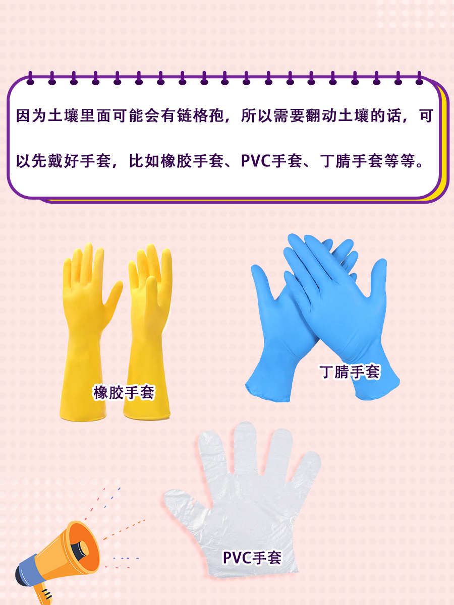 过敏频发？警惕链格孢这个隐形杀手！