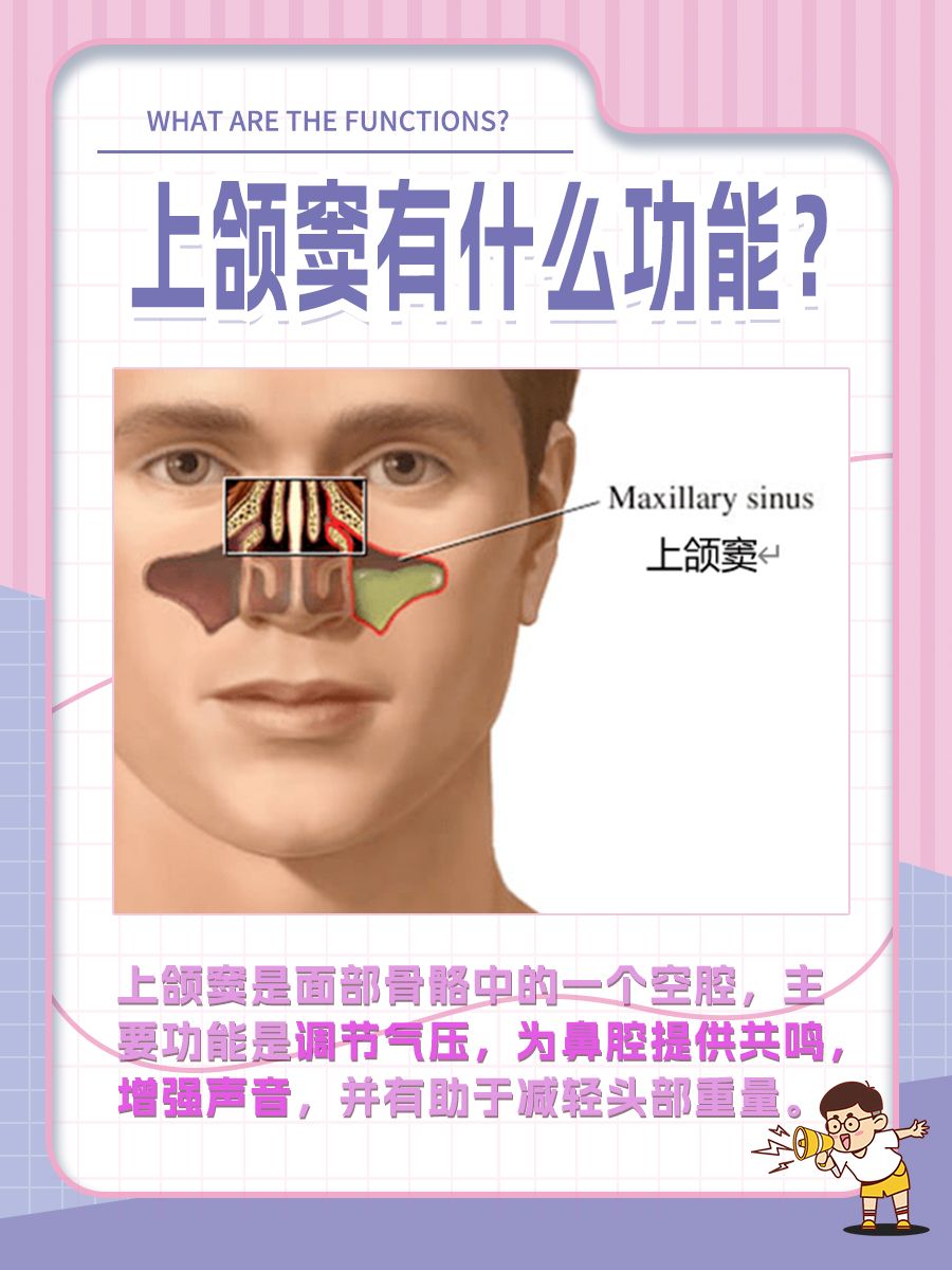 听课笔记：上颌窦有啥本领？