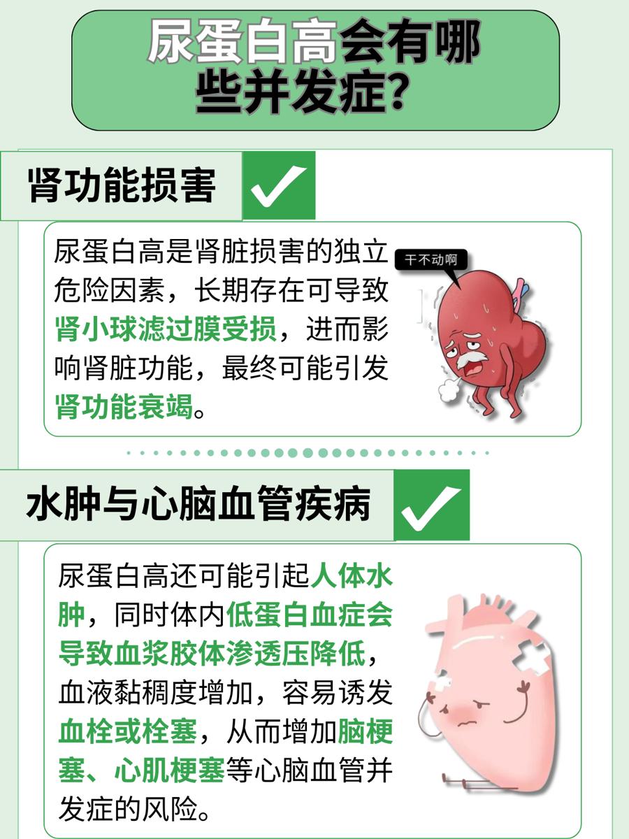尿蛋白高超标？吃什么药能降下来