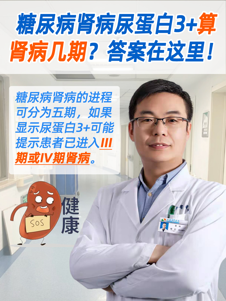 糖尿病肾病尿蛋白3+算肾病几期?答案在这里!