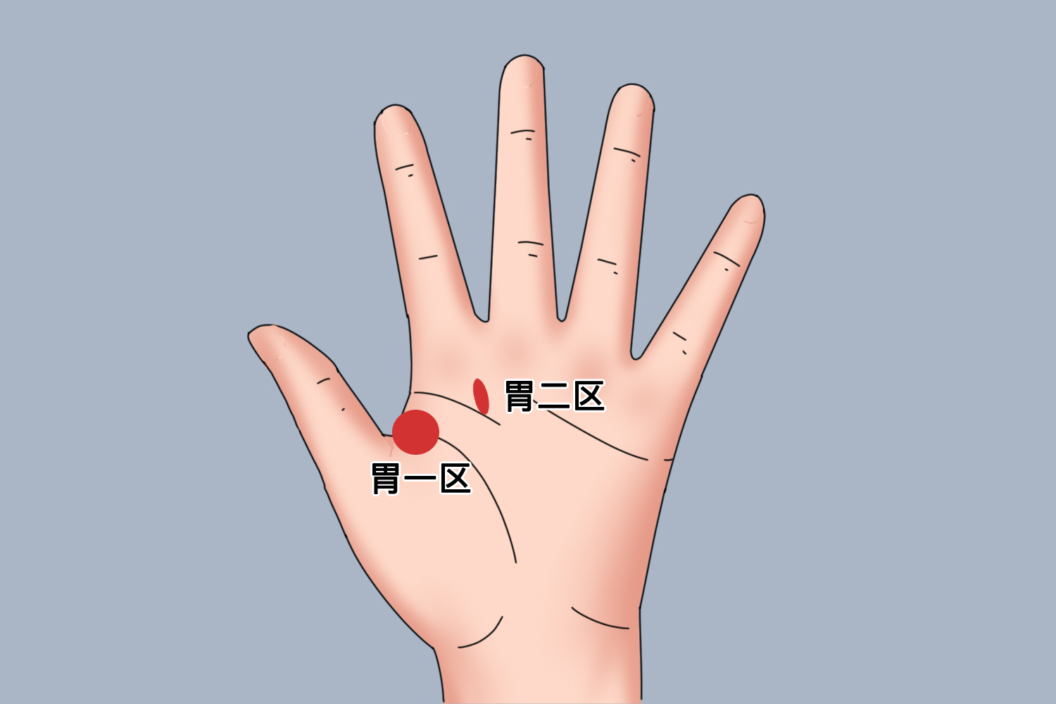 胃反射区手部位置图