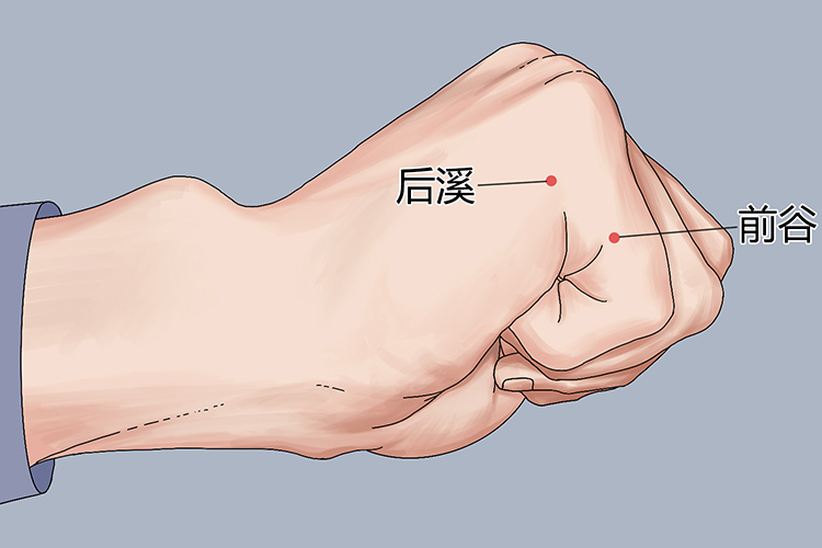 后溪穴位置图