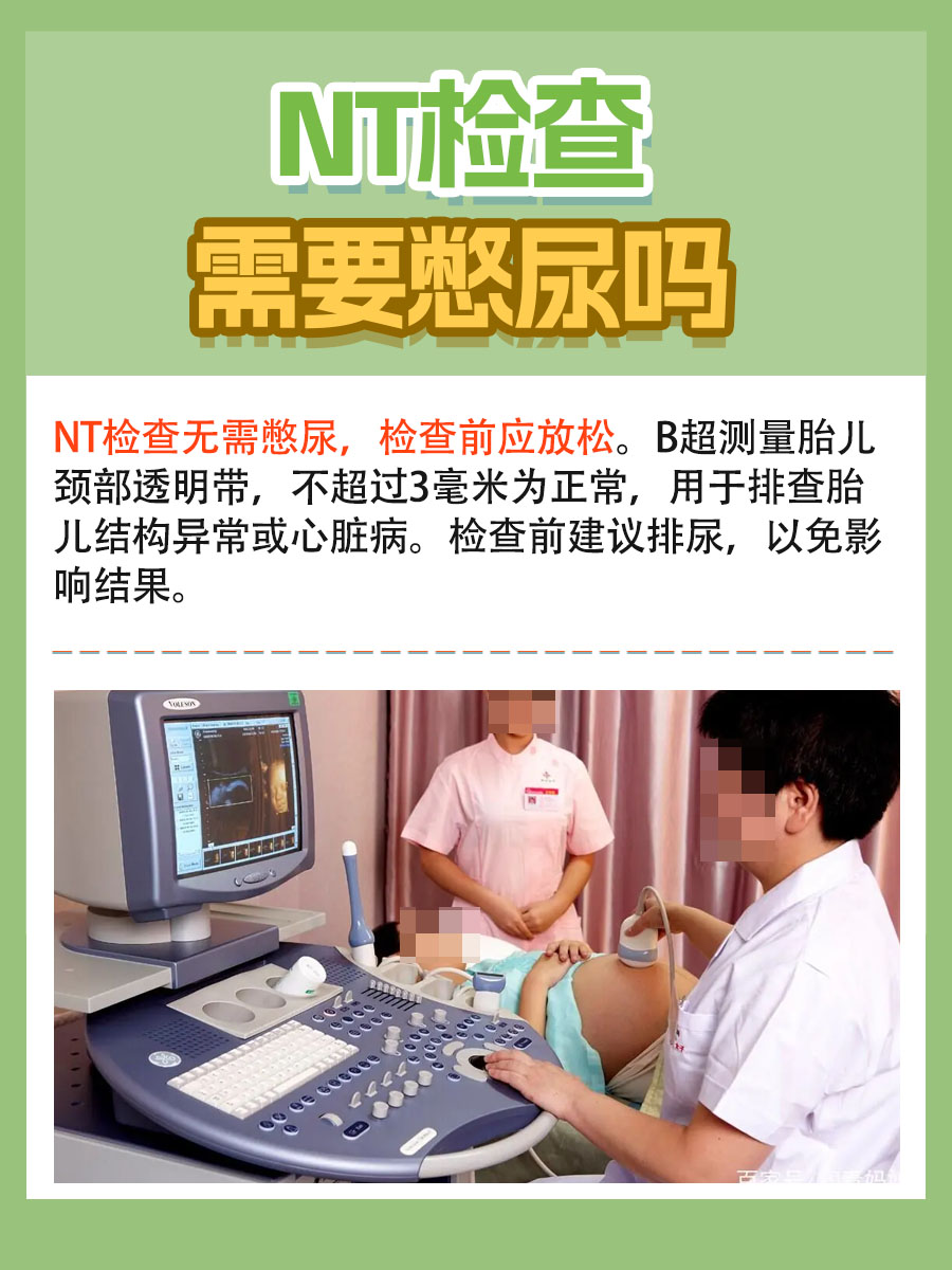 NT检查前,需要憋尿吗?真相在此!