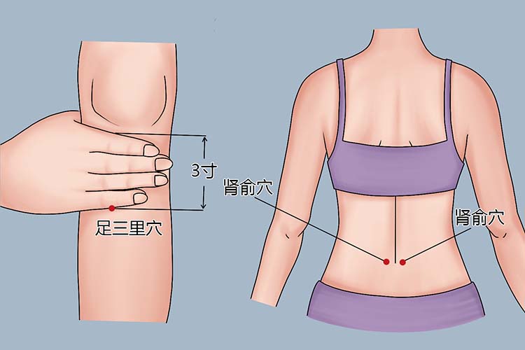 足三里、肾俞穴位置图