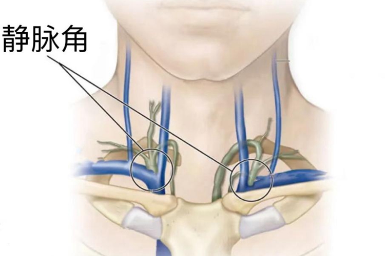 静脉角位置图 静脉角位置图