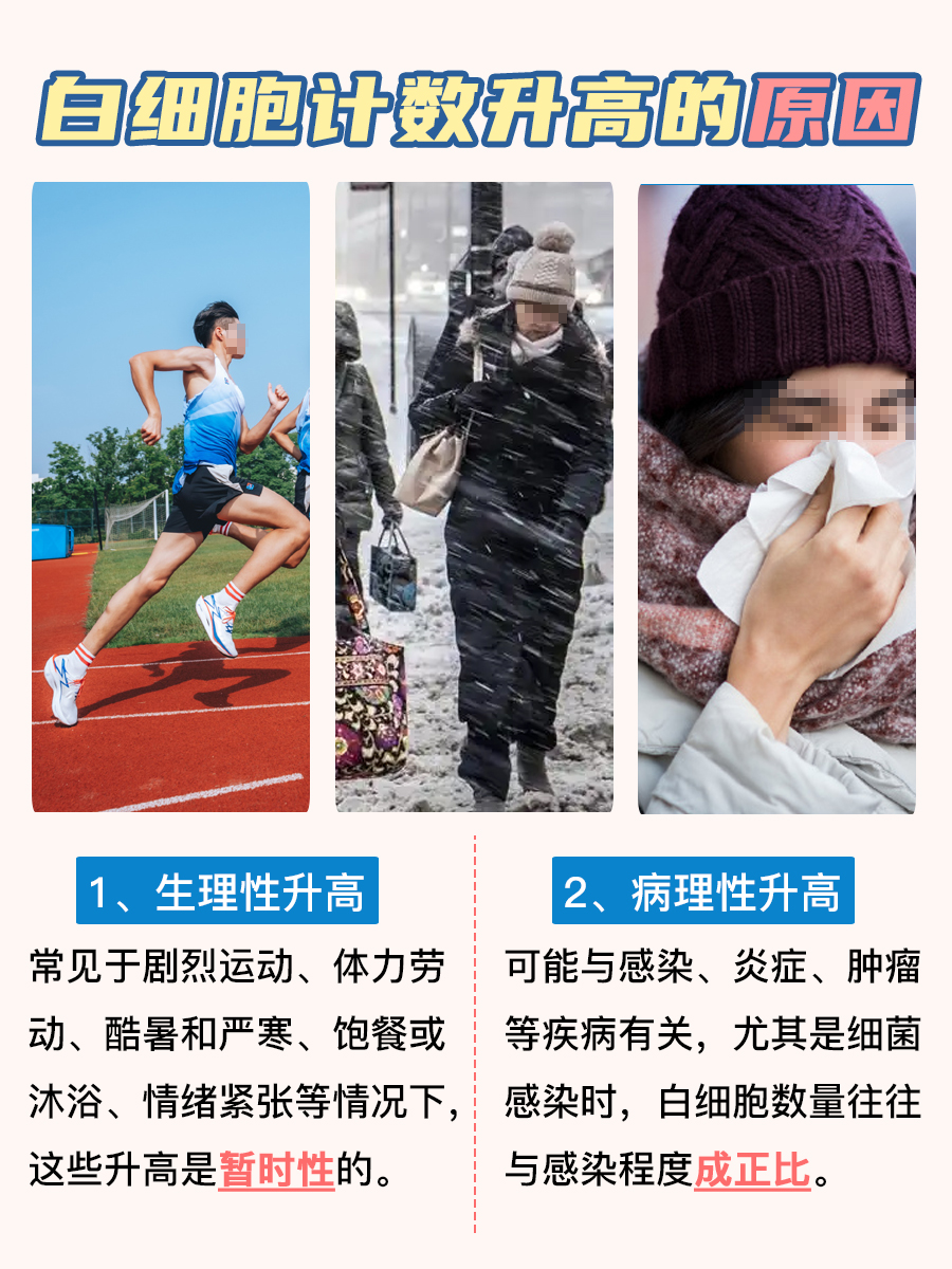 白细胞小知识:正常值是多少?快来学习!
