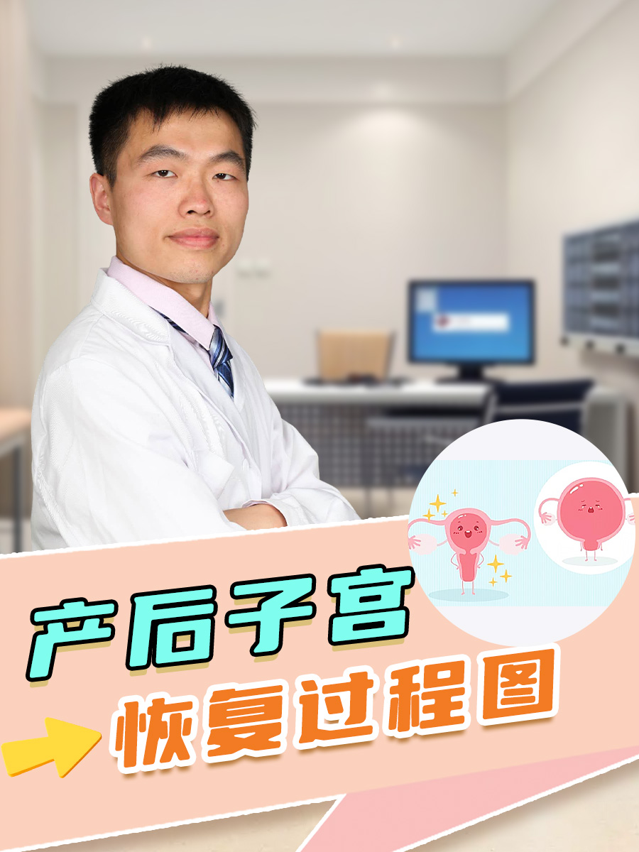 产后子宫恢复过程图