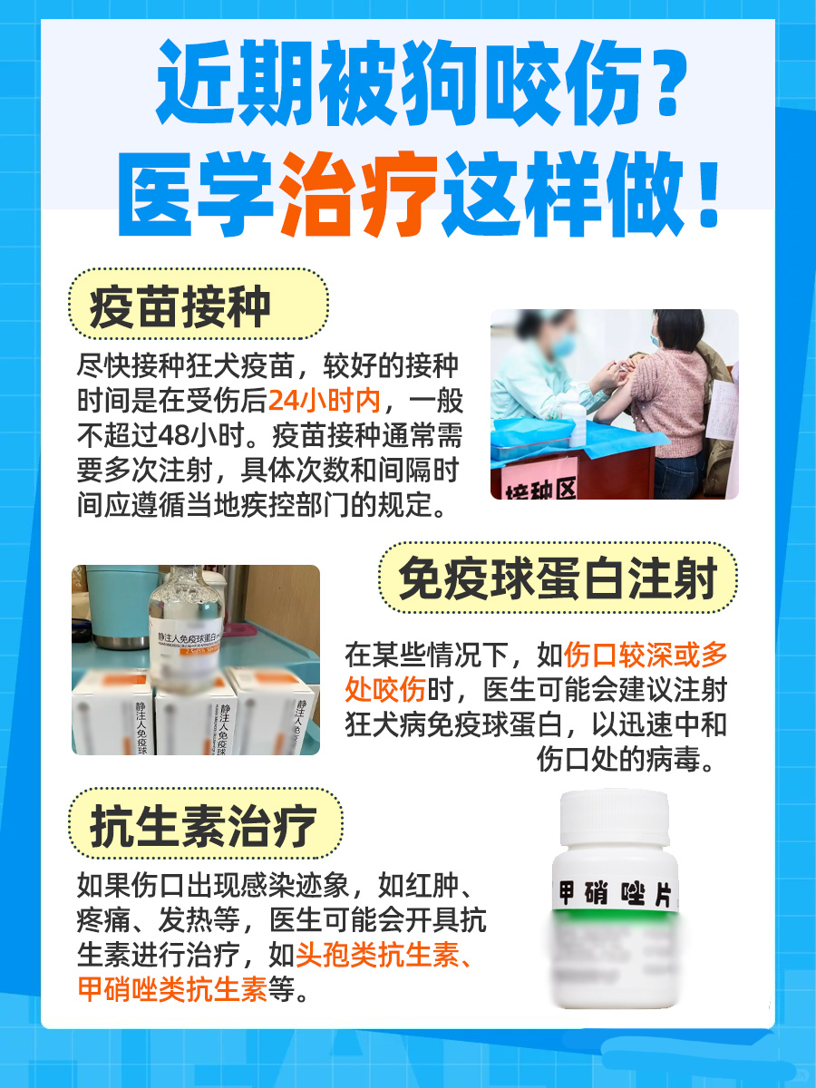 惊！被狗咬伤隐患长达三十年？必须打针吗？