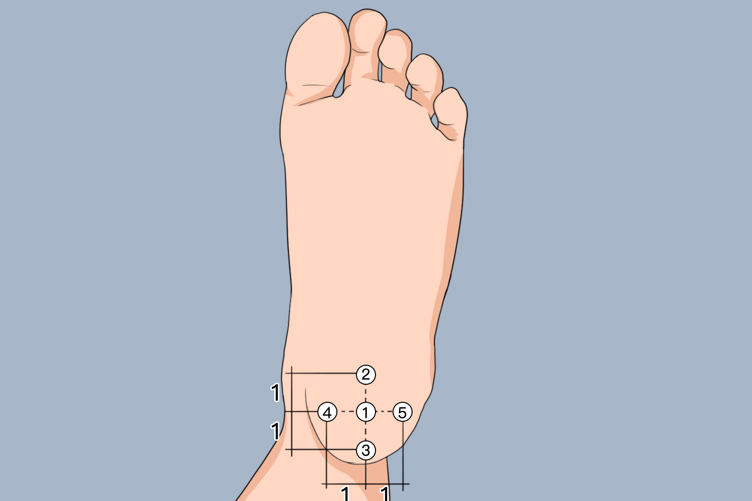 五花穴位置图片