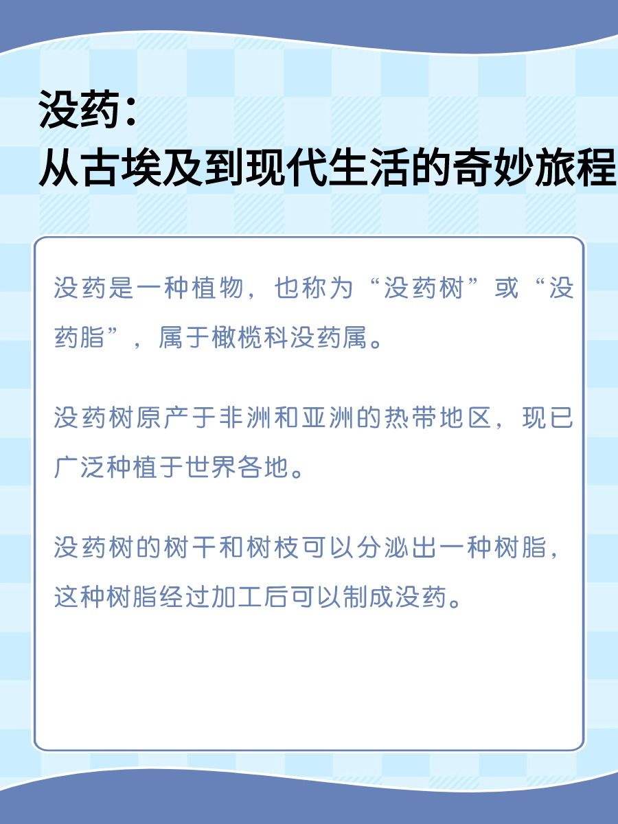 没药:从古埃及到现代生活的奇妙旅程