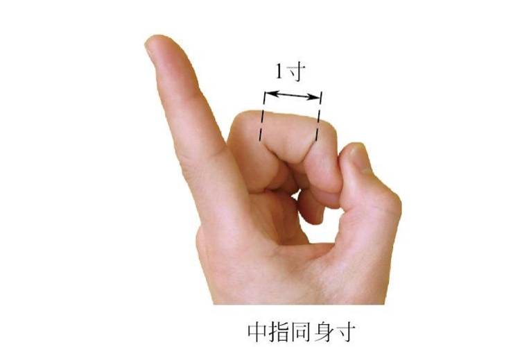中指同身寸法图