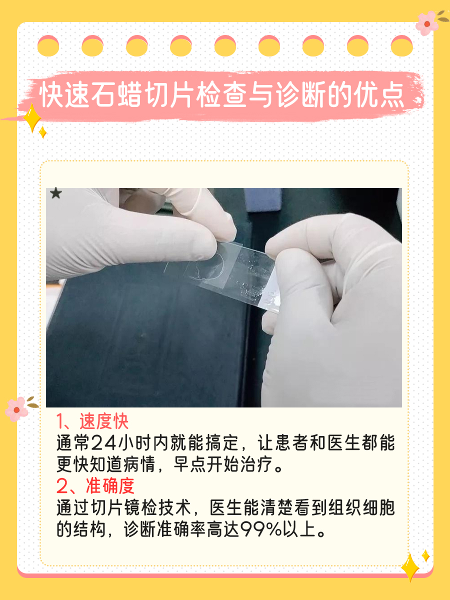 快速石蜡切片检查与诊断：带你深入了解其意义