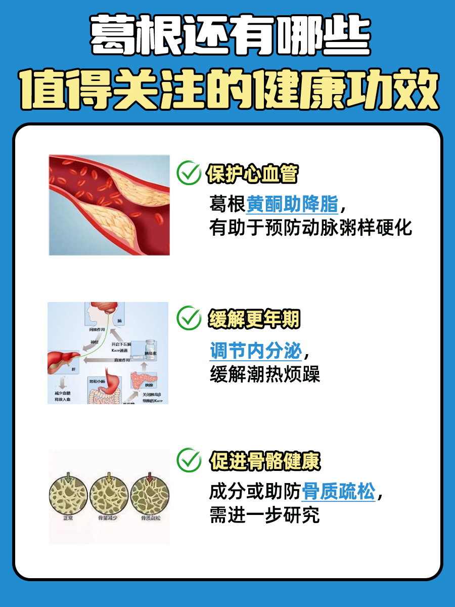 葛根泡水喝能降血糖吗?一文解析!
