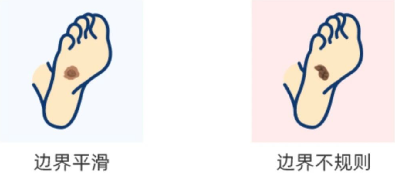 4813d349-24f1-4dc0-8a3f-8d3738862290.png