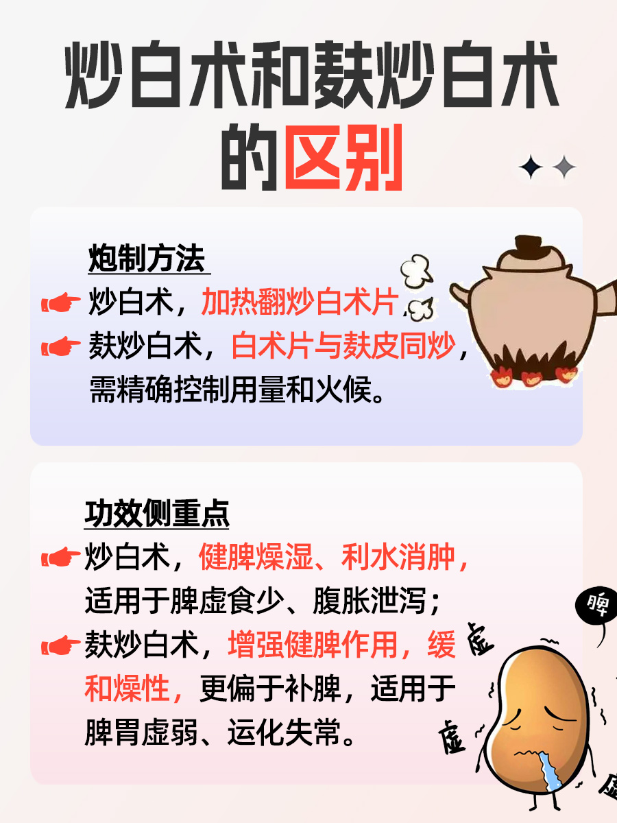 揭秘：炒白术和麸炒白术的区别