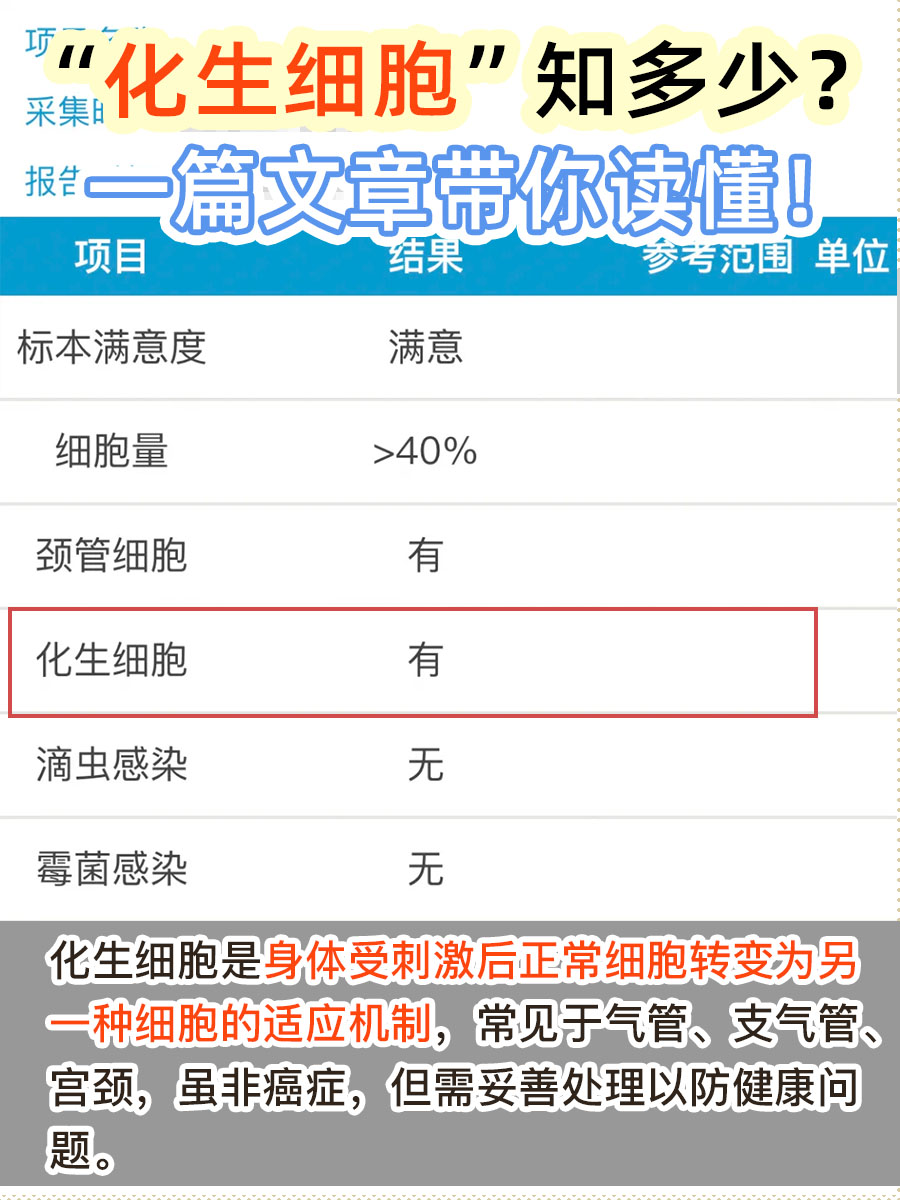 “化生细胞”知多少？一篇文章带你读懂！