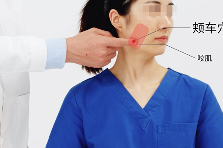 颊车的准确位置图