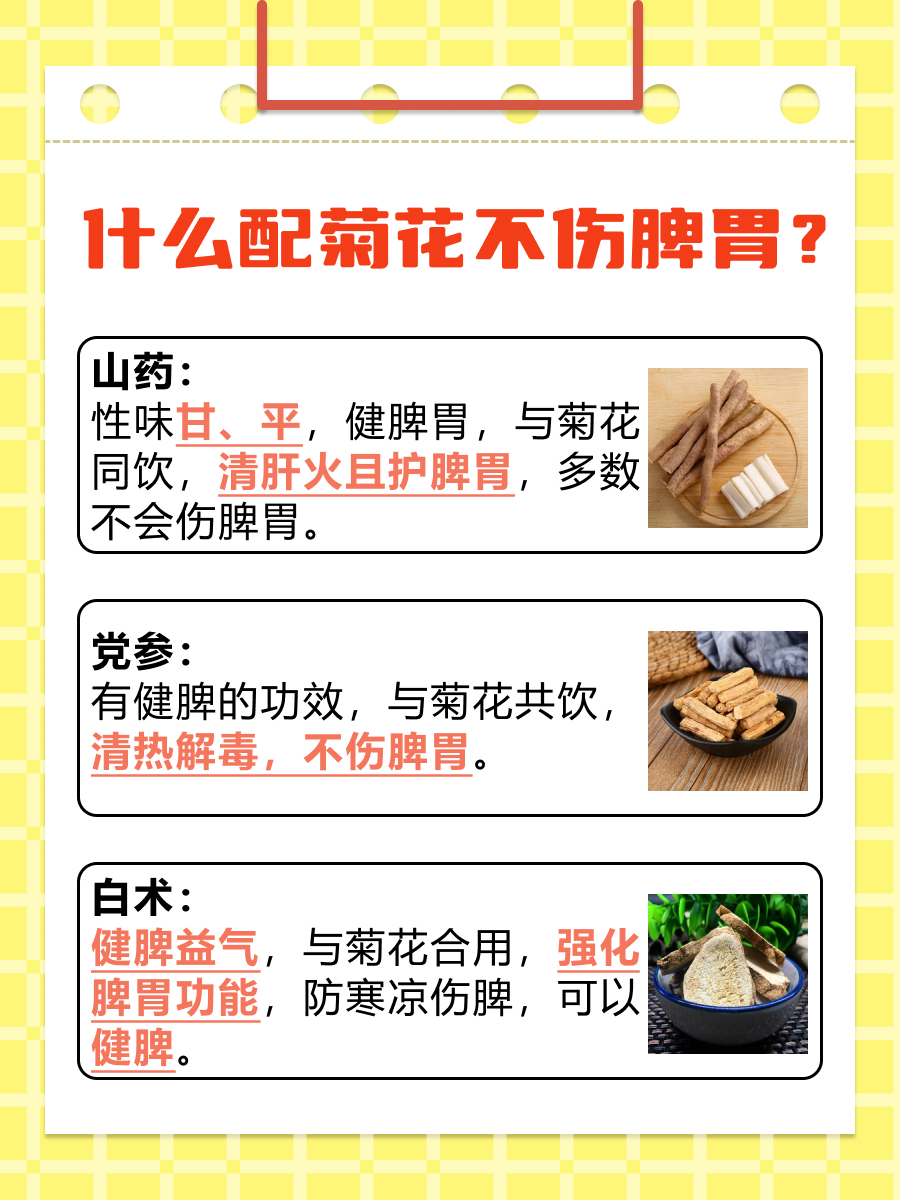 一起了解：菊花配什么不伤脾胃？