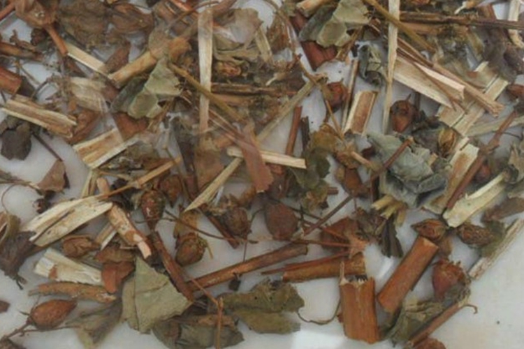 对经草中药图 对经草中药图