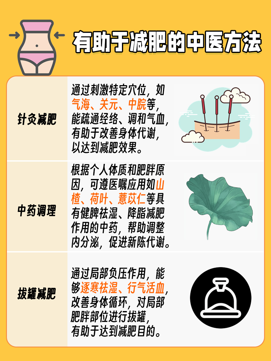 参苓白术散，真的能助力减肥大业吗？