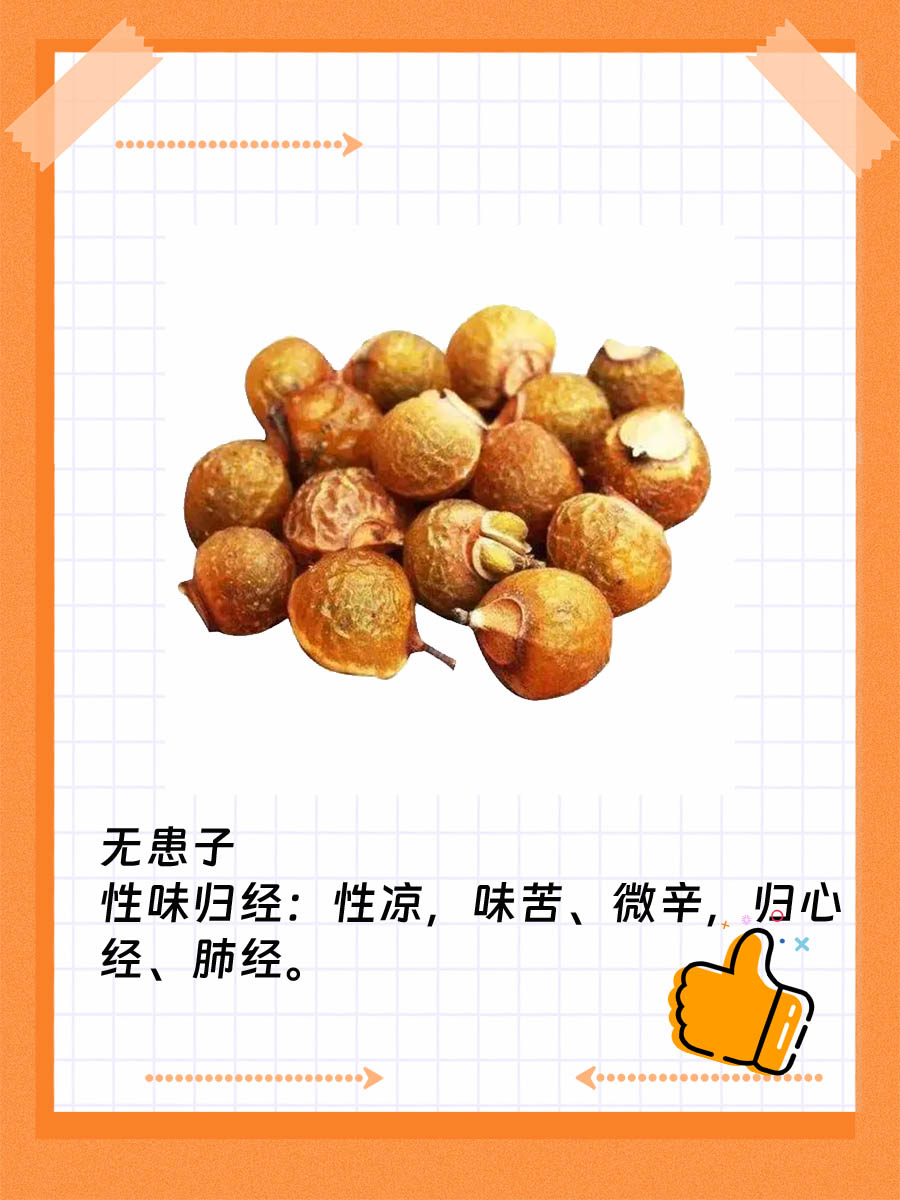 揭秘无患子，功效作用全解析