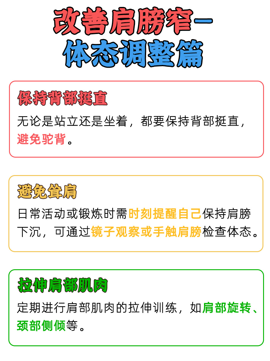 窄肩=骨架小？解锁身形秘密！