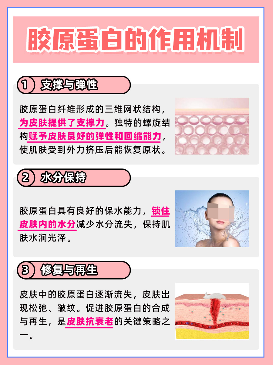 胶原蛋白是什么？你知道吗？