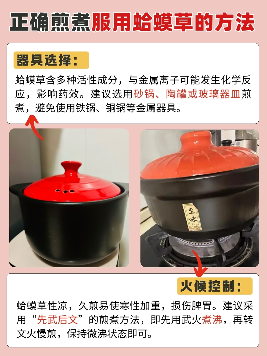 蛤蟆草是什么？田间「丑草」竟有这些功用！