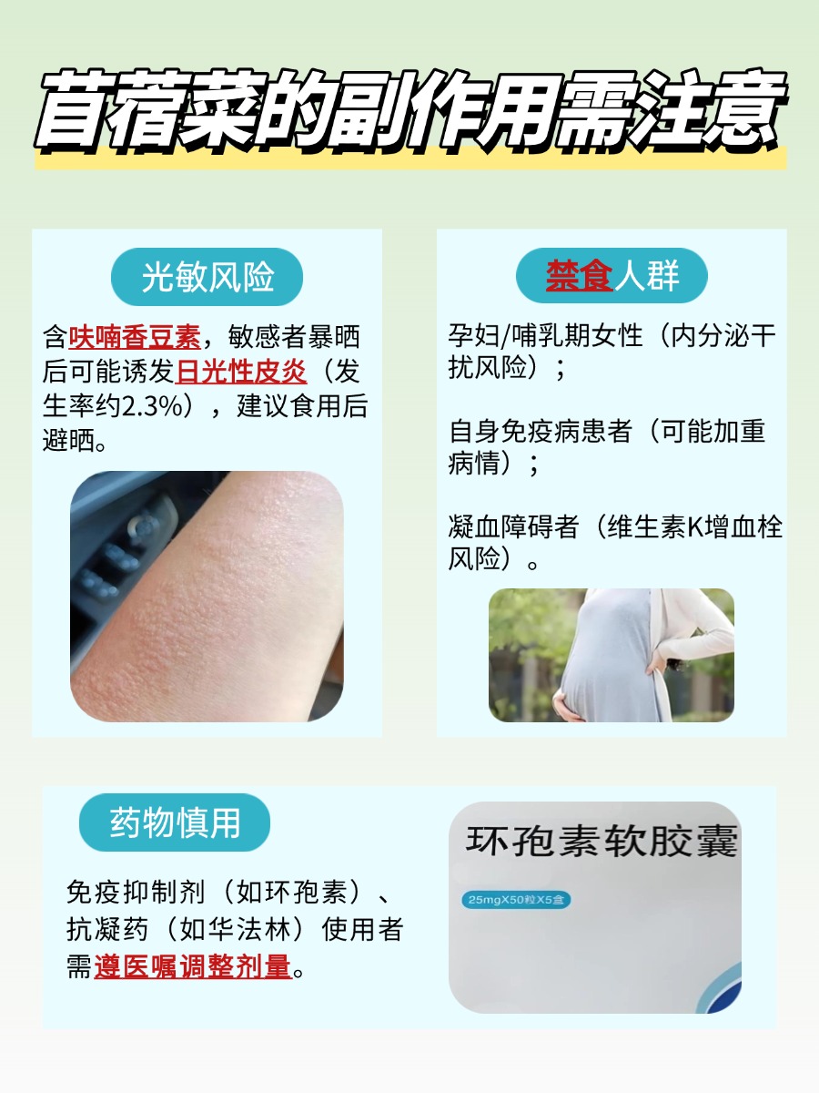 苜蓿菜的功效与作用全解析，担心副作用？看这篇