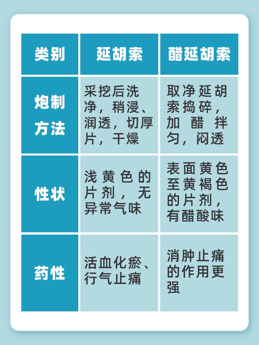 每天认识一味中药—醋延胡索的功效与作用