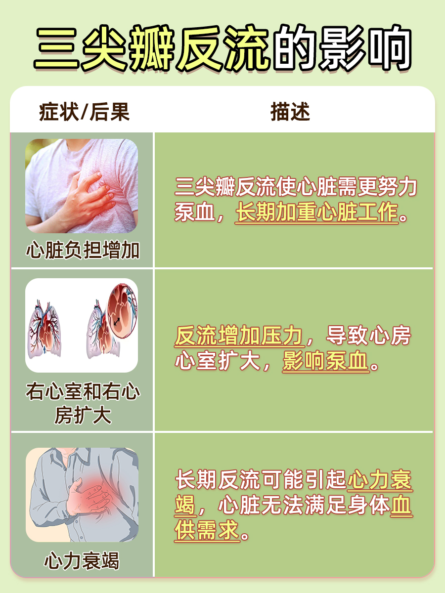 心脏健康指南：三尖瓣反流是什么意思